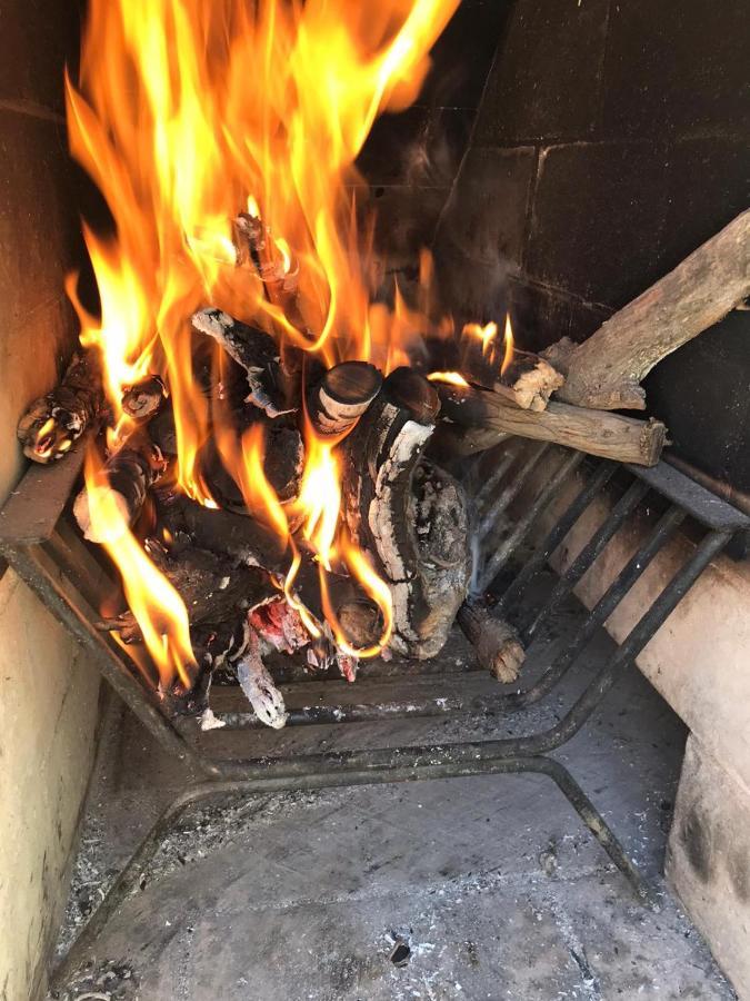 Kingfisher De Los Andes Villa Meliquina Kültér fotó
