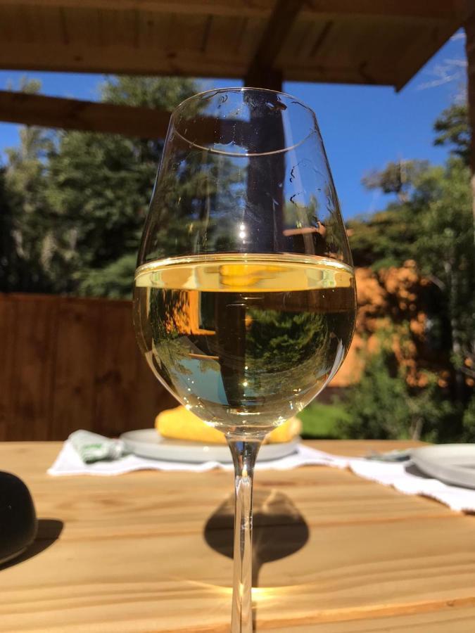 Kingfisher De Los Andes Villa Meliquina Kültér fotó