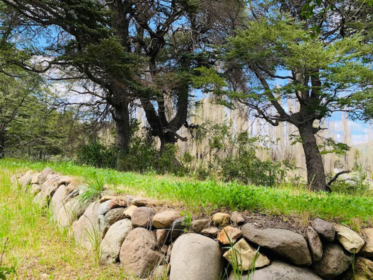 Kingfisher De Los Andes Villa Meliquina Kültér fotó