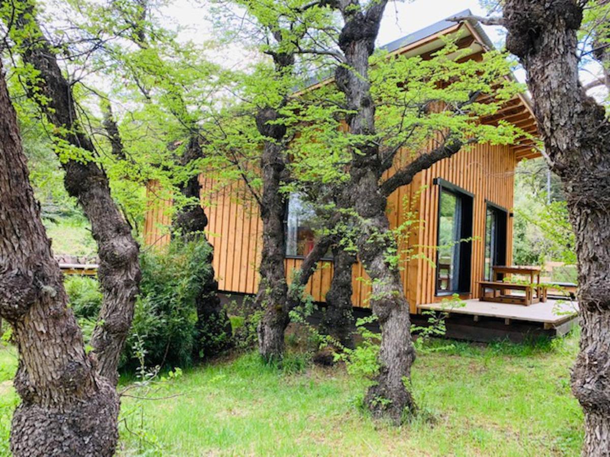 Kingfisher De Los Andes Villa Meliquina Kültér fotó