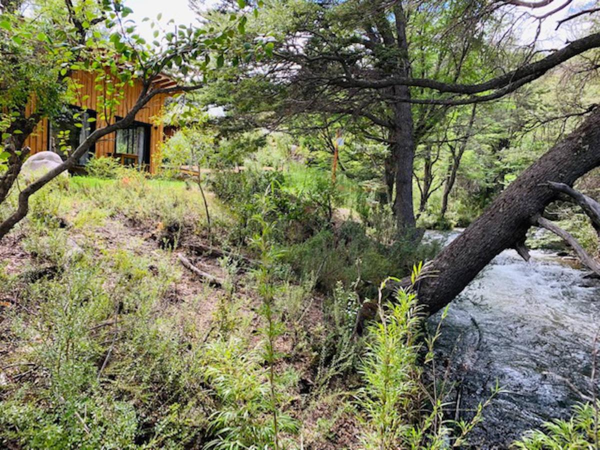 Kingfisher De Los Andes Villa Meliquina Kültér fotó